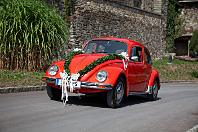 VW Käfer